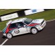 Lancia Delta Martini WRC Full Graphics Kit