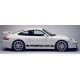 Porsche GT3 RS Side Stripe Graphics