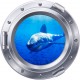 3D Shark Porthole