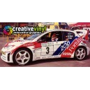 Peugeot 206 Fortuna 2001 Full Rally Graphics Kit