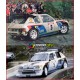 Peugeot 205 WRC Tour De Corse Full Graphics Kit