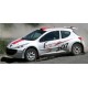 Peugeot 207 WRC 2007 Monte carlo Full Rally Graphics Kit