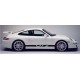 Porsche GT2 Side Stripe Graphics