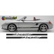 Porsche Boxster Side Stripe Graphics