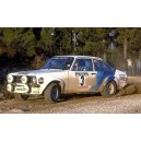 Ford Escort 1979 Portugal Rally Graphics Kit