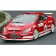 Peugeot 307 Monte carlo WRC 2008 Full Rally Graphics Kit